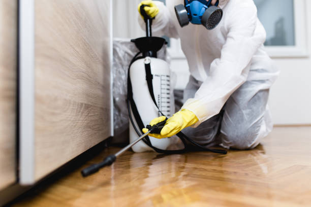 Best Termite Control Services  in Newington, VA