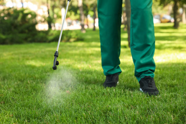Best Best Pest Control Companies  in Newington, VA