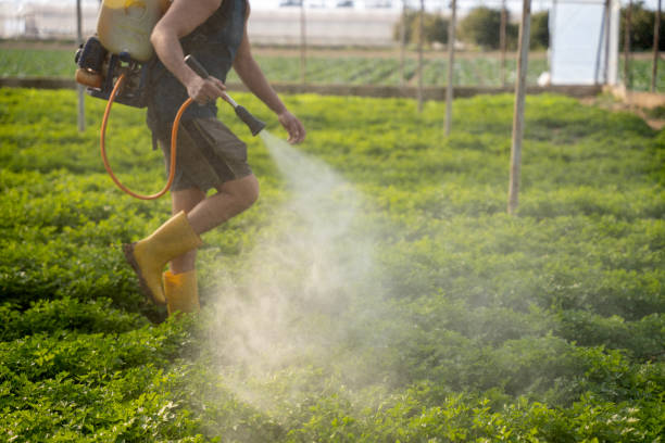 Reliable Newington, VA Pest Control Solutions