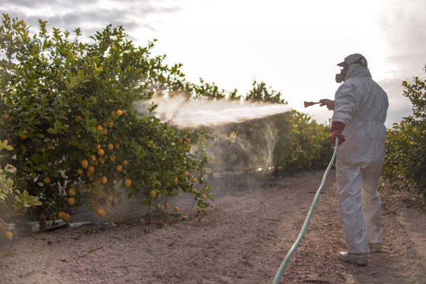 Best Pest Removal Services  in Newington, VA