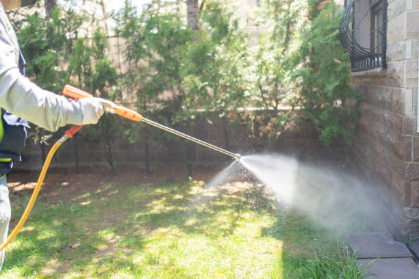 Best Pest Control Near Me in Newington, VA