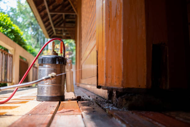 Pest Prevention Services in Newington, VA