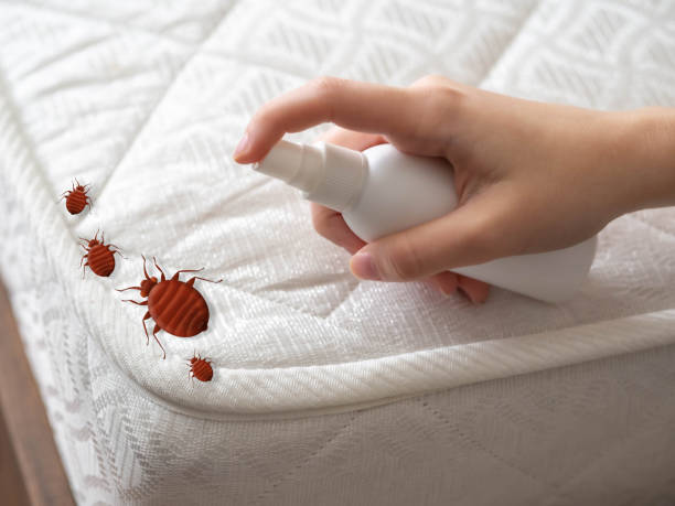 Best Mosquito Control Services  in Newington, VA